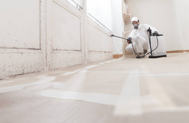 24/7 Emergency Mold Remediation experts in Wilson, NC